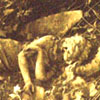 Fallen Angel
